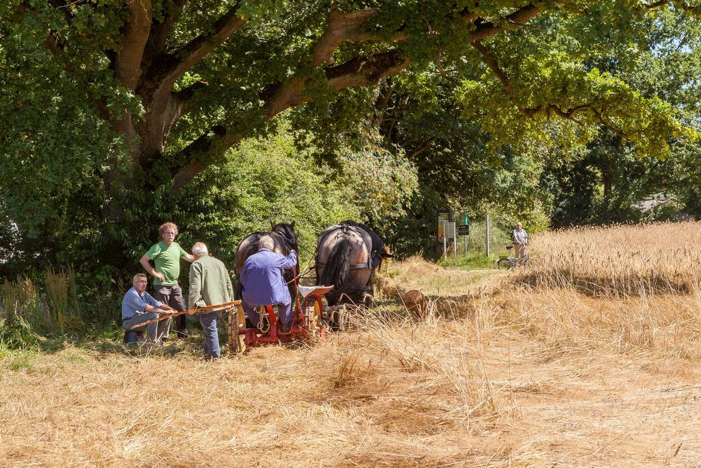 Hoeve Springendal オーテマルスム エクステリア 写真