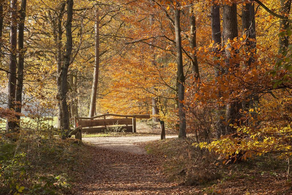 Hoeve Springendal オーテマルスム エクステリア 写真