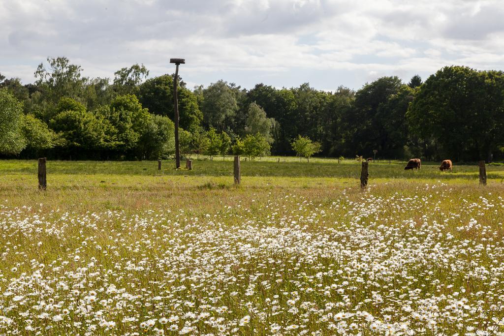 Hoeve Springendal オーテマルスム エクステリア 写真
