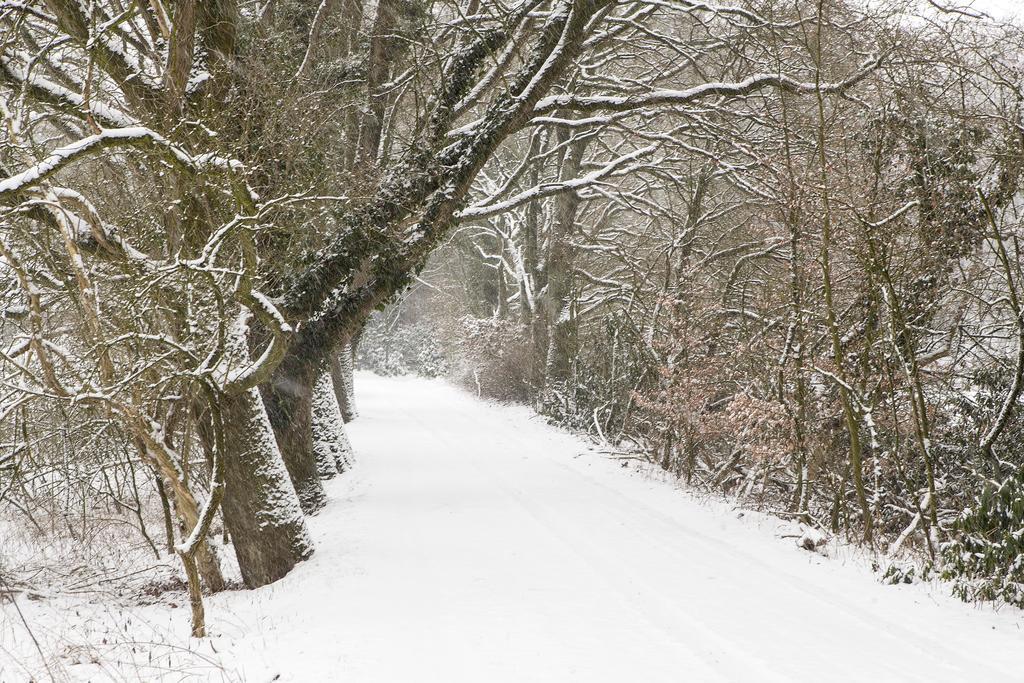 Hoeve Springendal オーテマルスム エクステリア 写真