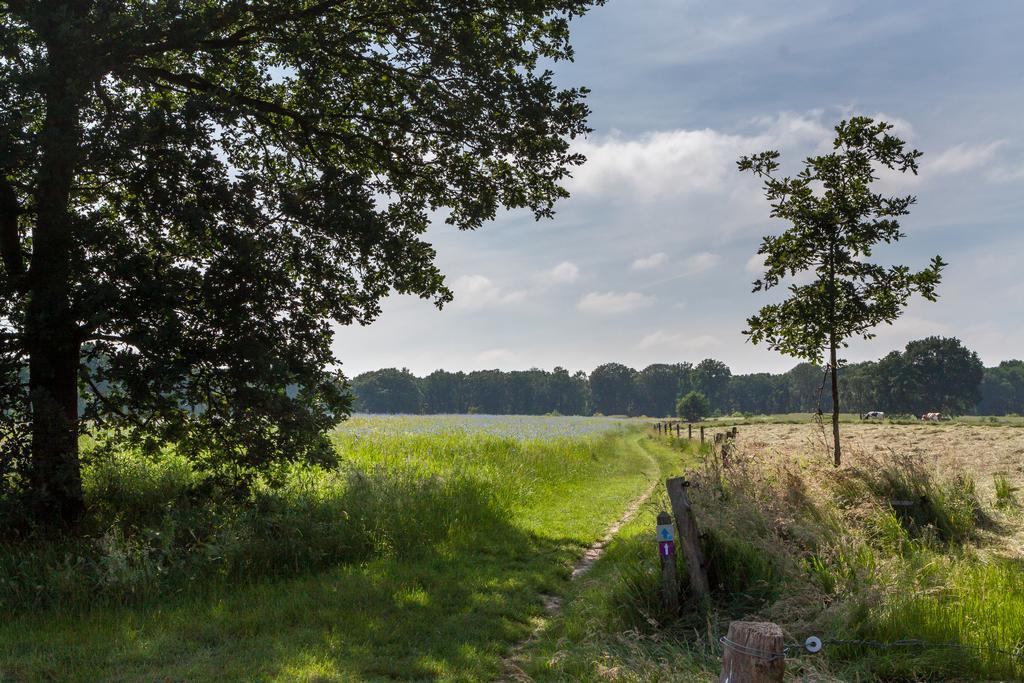 Hoeve Springendal オーテマルスム エクステリア 写真