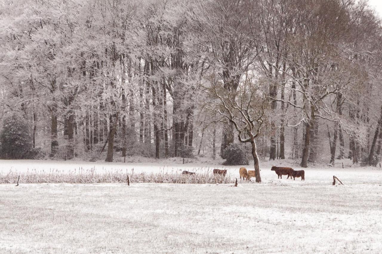 Hoeve Springendal オーテマルスム エクステリア 写真